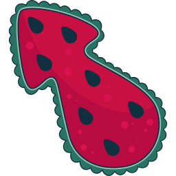 The Watermelon custom cursor for Chrome Pointer